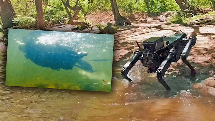 Video chó robot bơi ào ào dưới nước - Ảnh 2.