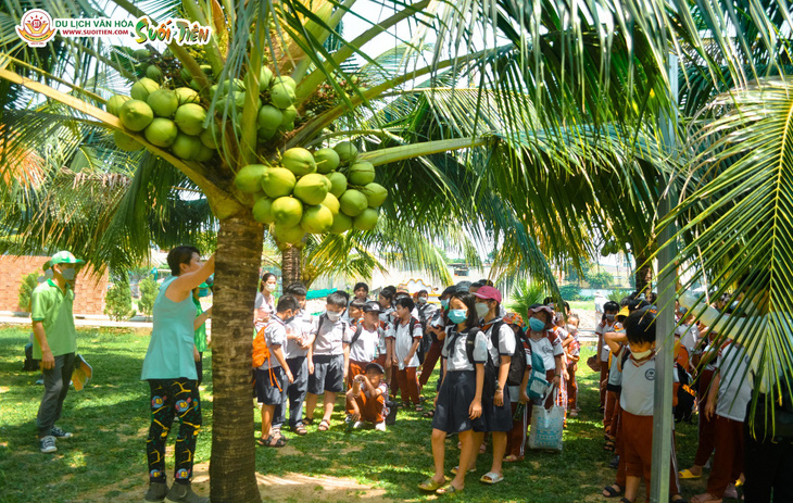 Nông trại Suối Tiên Farm - điểm tham quan du lịch mới lạ và hấp dẫn - Ảnh 3.