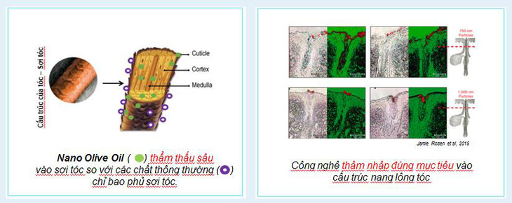 Dầu gội Wakamono chứa hoạt chất nano dầu olive - Ảnh 1.