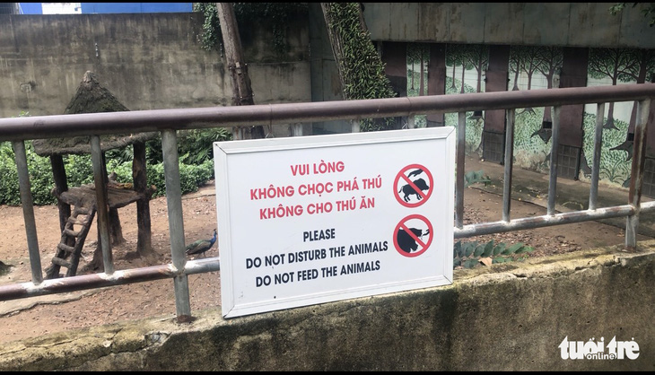 Đười ươi Thảo cầm viên hút thuốc, báo động tình trạng du khách ném đồ vào chuồng thú - Ảnh 3.