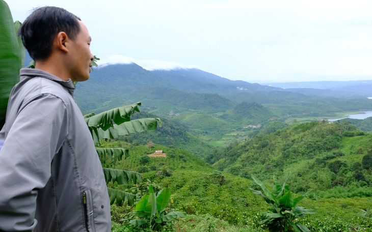 Mất hơn 2.000ha rừng ở Đắk Nông: chỉ kiểm điểm rút kinh nghiệm