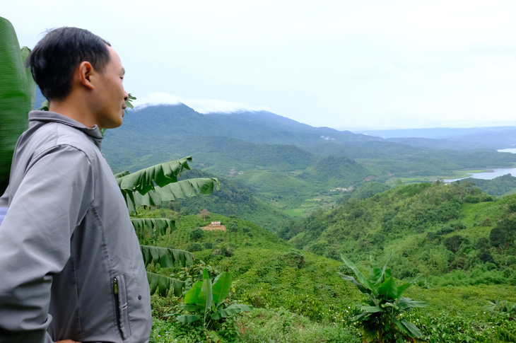 Mất hơn 2.000ha rừng ở Đắk Nông: chỉ kiểm điểm rút kinh nghiệm - Ảnh 1.