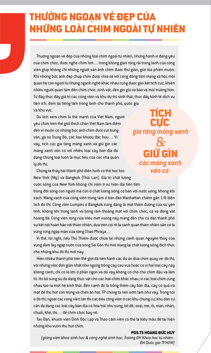 Khi con chim Pitta về đậu vườn Tao Đàn - Ảnh 12.