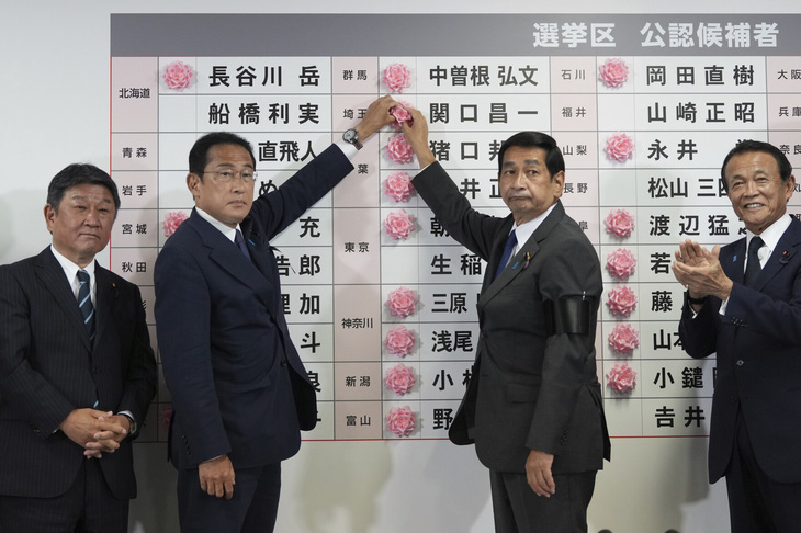 Đảng của ông Abe giành chiến thắng ở Thượng viện Nhật - Ảnh 1.