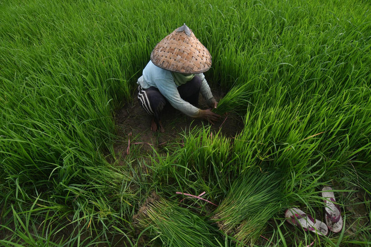 Tin thế giới 13-7: Giáo hoàng nói về việc từ chức; Lãnh đạo Myanmar thăm Nga bàn về quốc phòng - Ảnh 3.