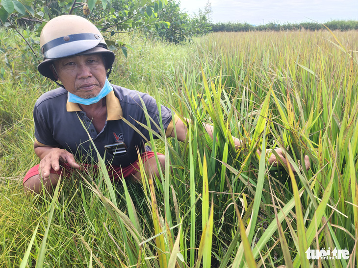 Kho xưởng ở Bình Chánh bị cháy sau 4 ngày vẫn còn nghi ngút khói - Ảnh 5.