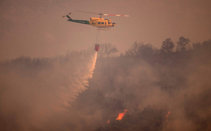 Cháy rừng kinh hoàng do nắng nóng ở châu Âu, hơn 15.000 người sơ tán