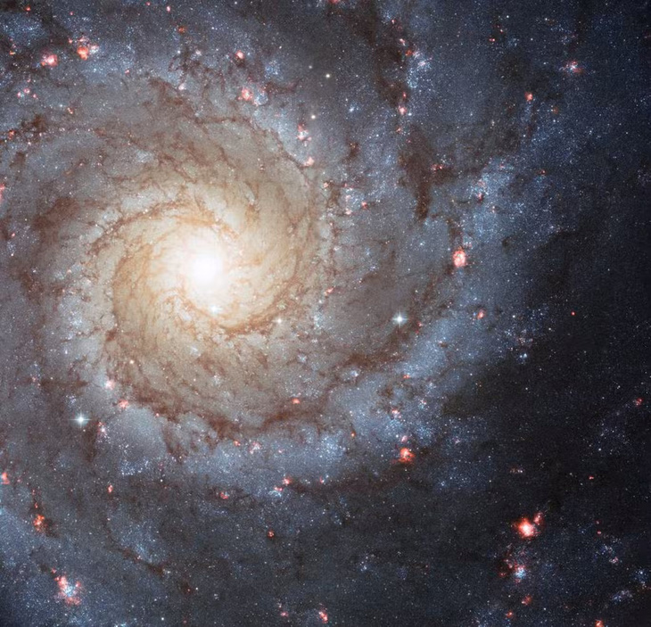 Giới khoa học xôn xao bức hình chụp thiên hà màu tím của kính James Webb - Ảnh 2.