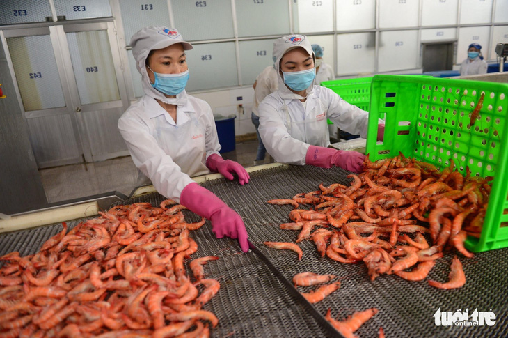 Sáu tháng đầu năm, xuất khẩu cá tôm đạt gần 6 tỉ USD - Ảnh 1.