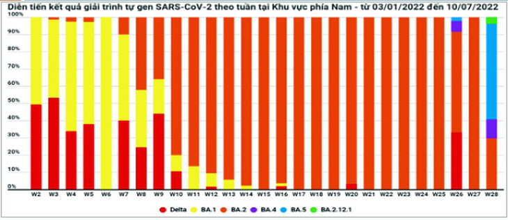 Biến thể phụ BA.2.12.1 nguồn gốc từ đâu? - Ảnh 1.