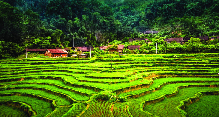 Lên Hoài Khao, ngắm hoa văn sáp ong mê hoặc - Ảnh 1.