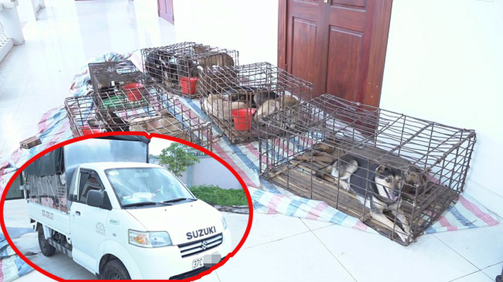Bắt băng nhóm trộm chó liên tỉnh sử dụng ôtô, mỗi đêm trộm cả trăm con chó - Ảnh 2.