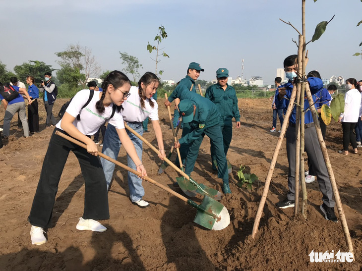 Trồng 500 cây dầu rái tạo mảng xanh cho đô thị - Ảnh 2.