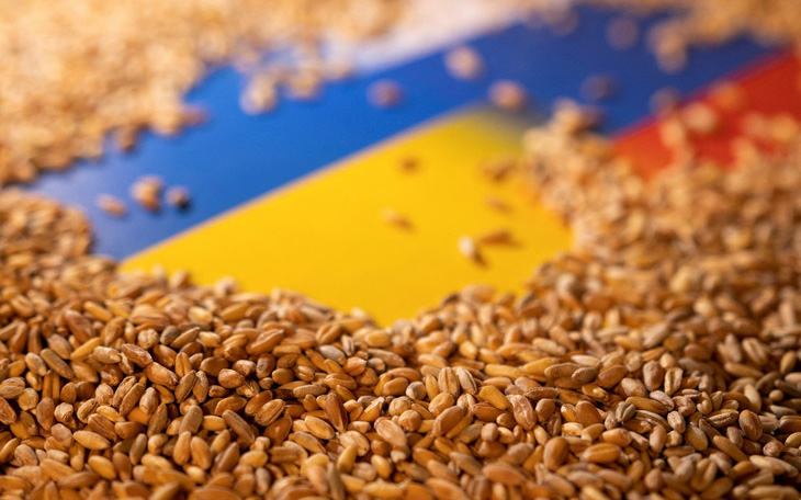 Cảng Odessa bị tấn công: Ukraine vẫn xuất khẩu lương thực