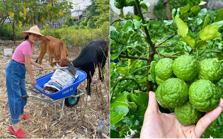 Mỹ Lệ làm nông dân, tự nuôi trồng phục vụ gia đình