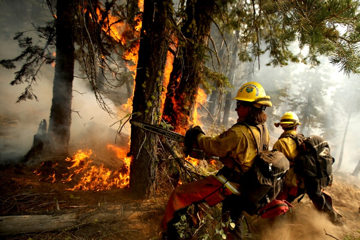 Hạn hán kỷ lục, hơn 8.000 hecta rừng cháy rụi ở California - Ảnh 6.