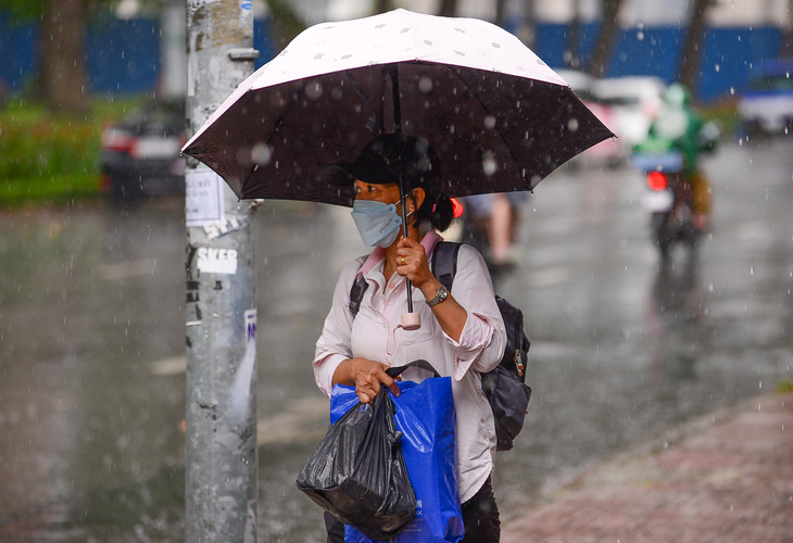 Thời tiết ngày 29-7: Nam Bộ ngày nắng, Bắc Bộ có nơi mưa rất to - Ảnh 1.