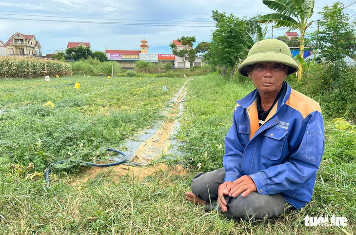 Lão nông bị phá ruộng dưa bật khóc vì ‘tiếc công chăm sóc’ - Ảnh 1.