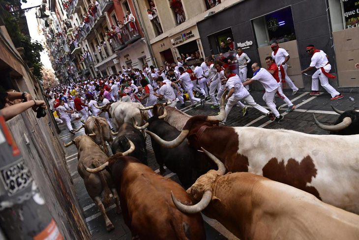 Tây Ban Nha mở lễ hội đua với bò tót, mỗi con nặng nửa tấn - Ảnh 1.