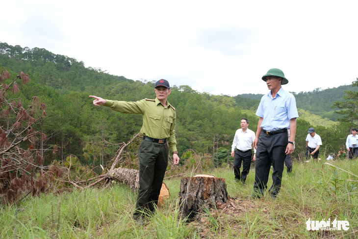 Phá rừng ở Lâm Đồng: Có sự bao che của chính quyền, lực lượng chức năng - Ảnh 1.
