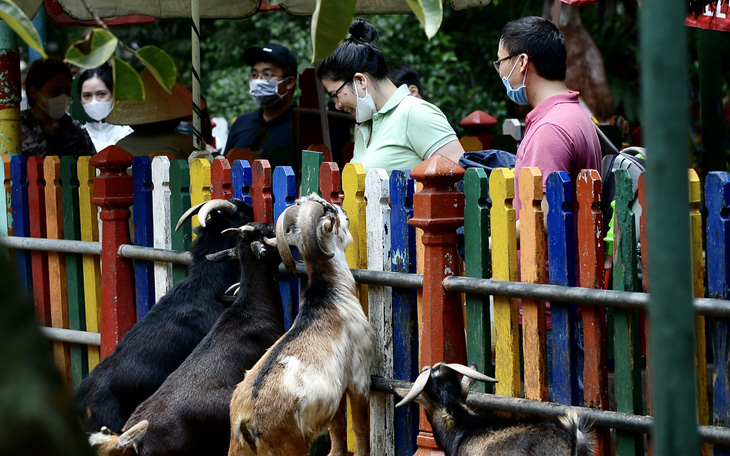 Đi sở thú, đừng 