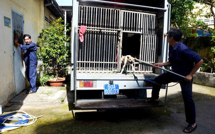 Bộ Nông nghiệp muốn các địa phương lập đội bắt chó thả rông như TP.HCM và Hà Nội