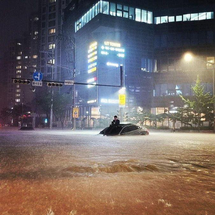 Ảnh gây bão mạng trong trận mưa lịch sử ở Seoul: Người đàn ông bị kẹt trên nóc xe sang - Ảnh 1.