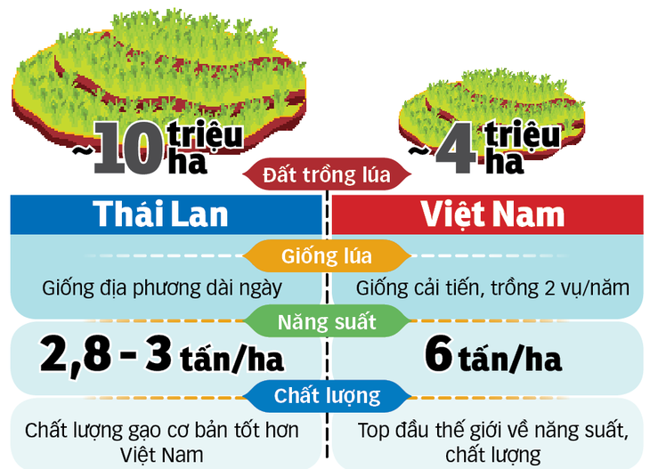 Việt Nam thua Thái Lan về giống nông sản? - Ảnh 2.