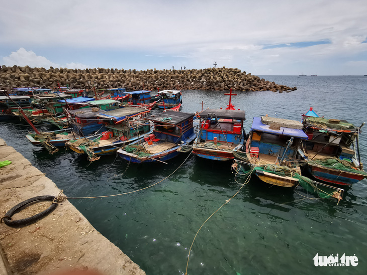 Yêu cầu ngăn chặn tình trạng đánh bắt tận diệt thủy sản - Ảnh 2.