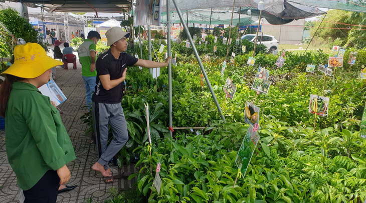 Người dân TP.HCM có cơ hội ‘săn’ hàng loạt giống rau củ quả, đặc sản vùng miền - Ảnh 3.