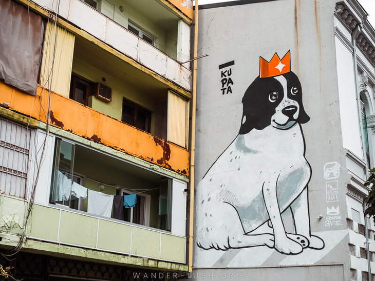 Chú chó dẫn trẻ em qua đường trở thành biểu tượng của thành phố - Ảnh 1.