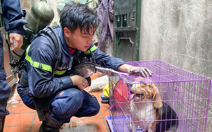 Di ảnh người lính cứu hỏa Đỗ Đức Việt bên chú cún được cứu lay động cộng đồng mạng