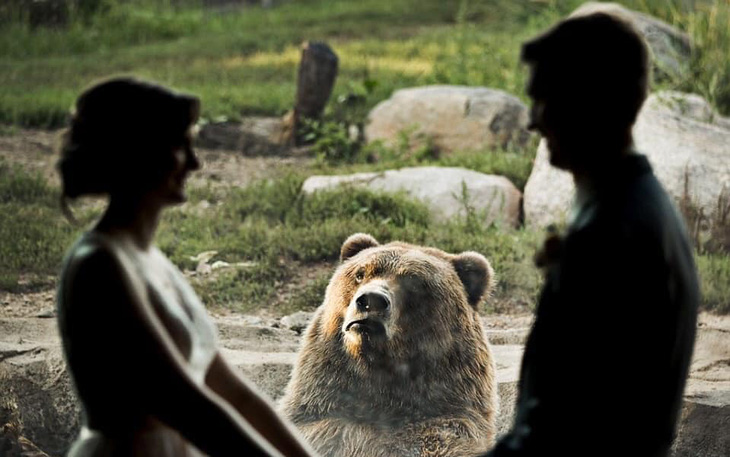 Chú gấu tỏ thái độ khi thấy cặp đôi hôn nhau