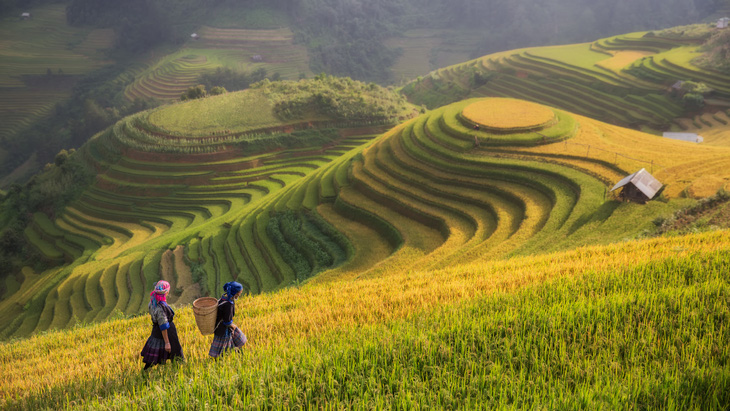 Đón mùa thu ở 3 miền Bắc, Trung, Nam với những điểm đến không thể bỏ lỡ - Ảnh 1.