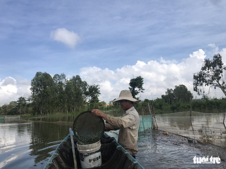 Ngư dân miền Tây nhớ lũ, trông con cá linh - Ảnh 1.