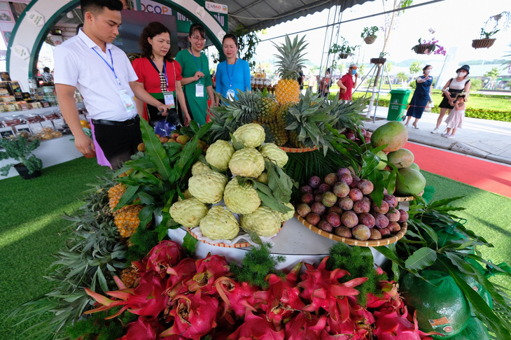 8 tháng đầu năm Việt Nam có 7 loại nông sản đạt giá trị xuất khẩu trên 2 tỉ USD - Ảnh 1.