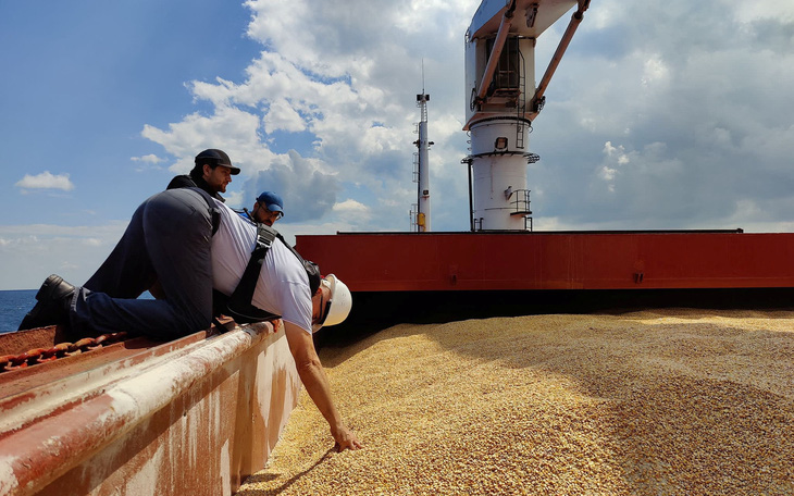 Hoàn tất kiểm tra tàu xuất khẩu lương thực đầu tiên từ Ukraine