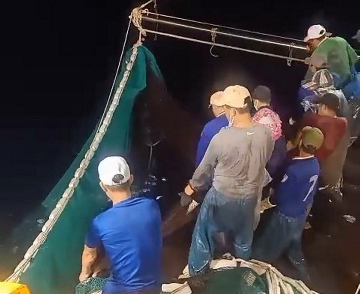 Ngư dân Quảng Bình trúng mẻ cá nục gần 250 tấn - Ảnh 1.