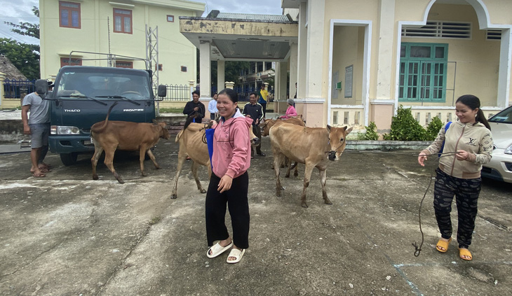 Bà con Cơ Tu, Tà Riềng nhận bò giống từ chương trình sinh kế hậu COVID-19, thiên tai - Ảnh 5.