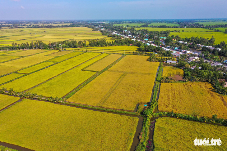 1 triệu ha lúa chất lượng cao của Việt Nam sẽ được quy hoạch thế nào? - Ảnh 1.