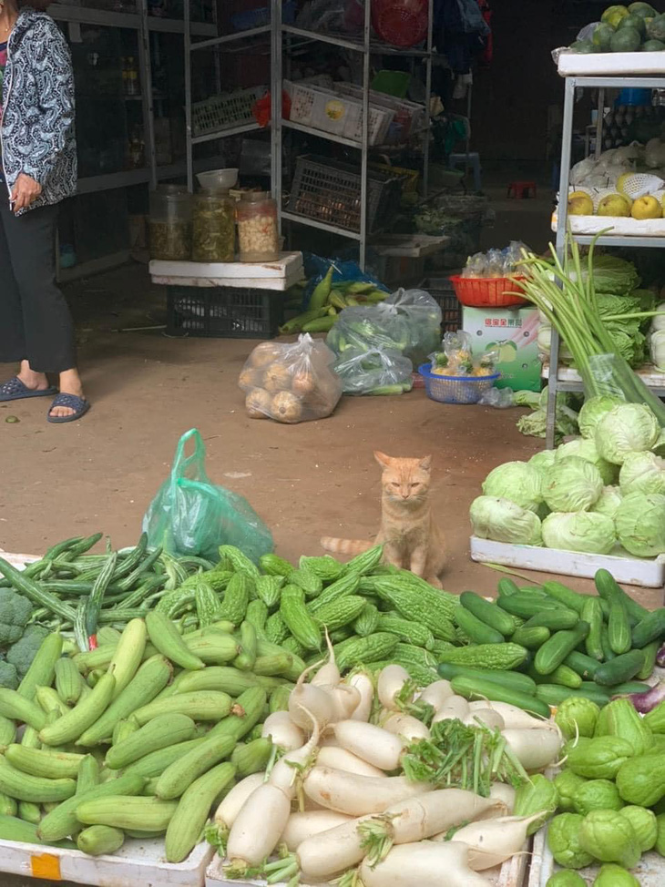 Ảnh vui 18-9: Tìm điểm khác nhau giữa hai bức hình - Ảnh 4.