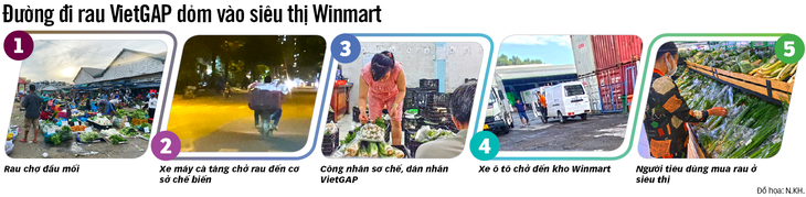 Phanh phui rau VietGAP dỏm: Rau sạch dỏm biến hình vào Winmart, Tiki ngon - Ảnh 4.