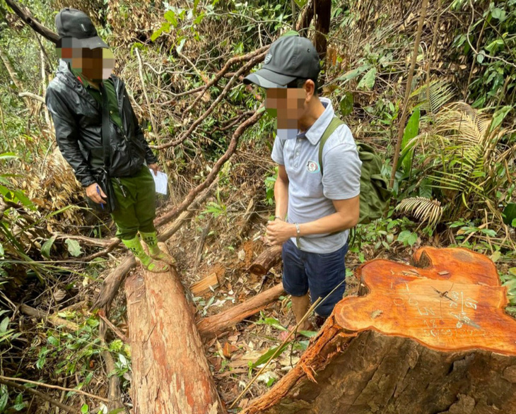 Kỷ luật 16 lãnh đạo ngành lâm nghiệp Kon Tum để mất rừng - Ảnh 1.