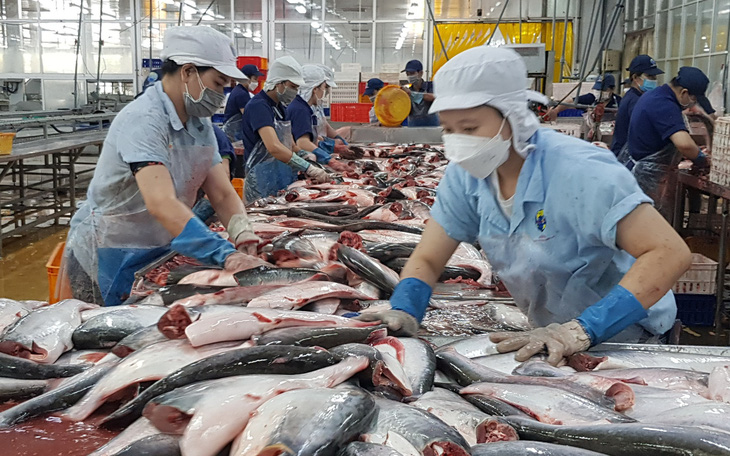 Đơn hàng gạo, cá Việt đi châu Âu tăng bất ngờ