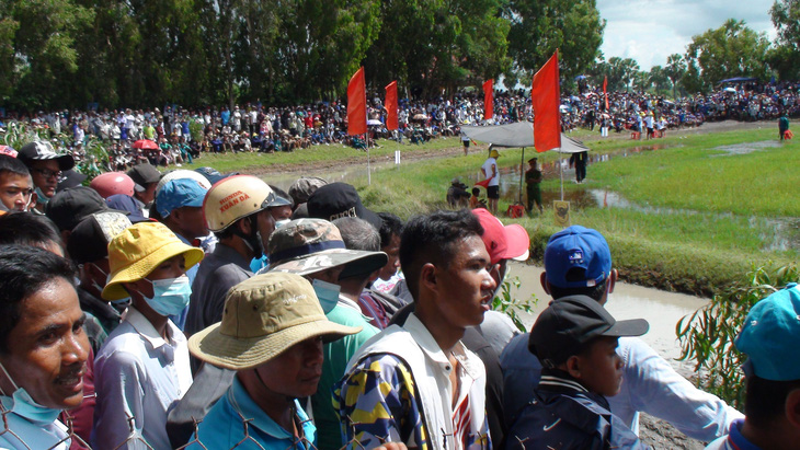 Hàng ngàn người đội nắng xem ngày hội đua bò Bảy Núi - Ảnh 6.
