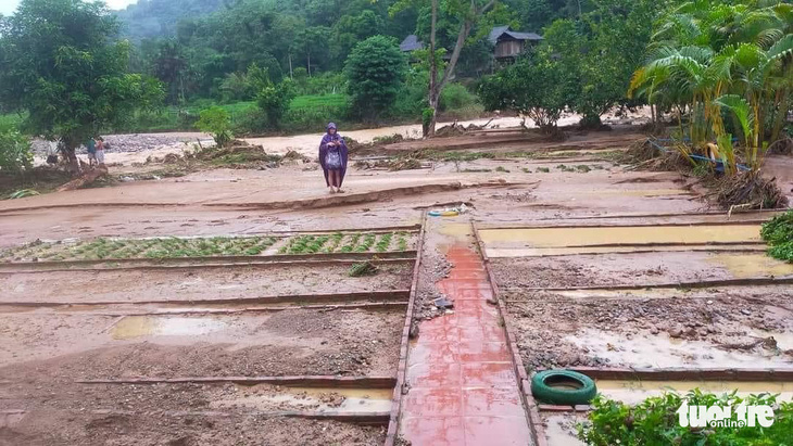 Nhiều trường ở huyện biên giới Nghệ An khai giảng muộn do mưa lũ - Ảnh 3.