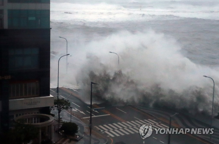 Siêu bão Hinnamnor đổ bộ Hàn Quốc - Ảnh 1.