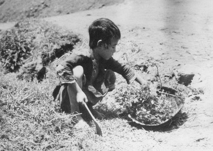 Hạn hán - mầm mống đói kém và hủy diệt - Kỳ 3: Trận đại hạn chết người khủng khiếp ở Trung Quốc - Ảnh 1.