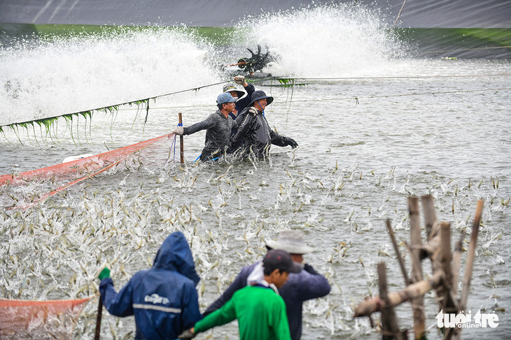 Ngành nông nghiệp hướng tới xuất khẩu 54 tỉ USD - Ảnh 1.