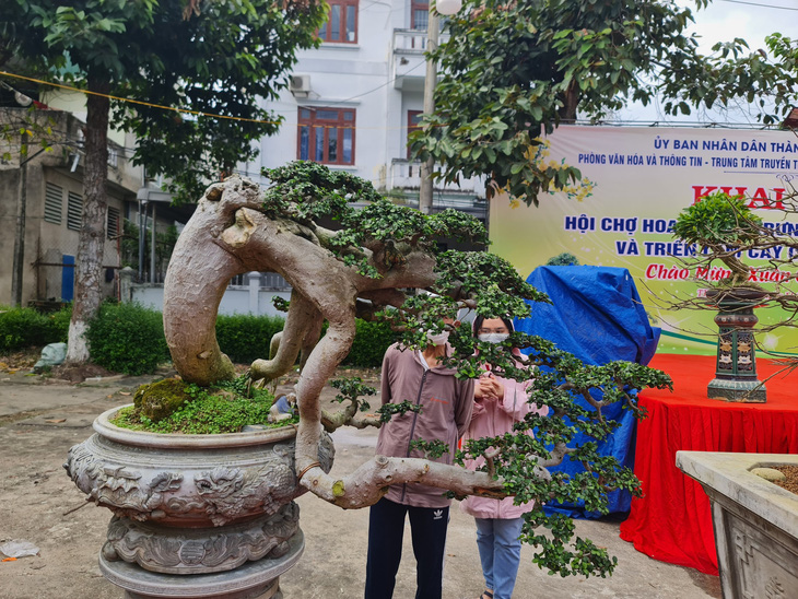 Ngắm những cây bonsai tuyệt đẹp ở chợ hoa xuân Quảng Ngãi - Ảnh 5.